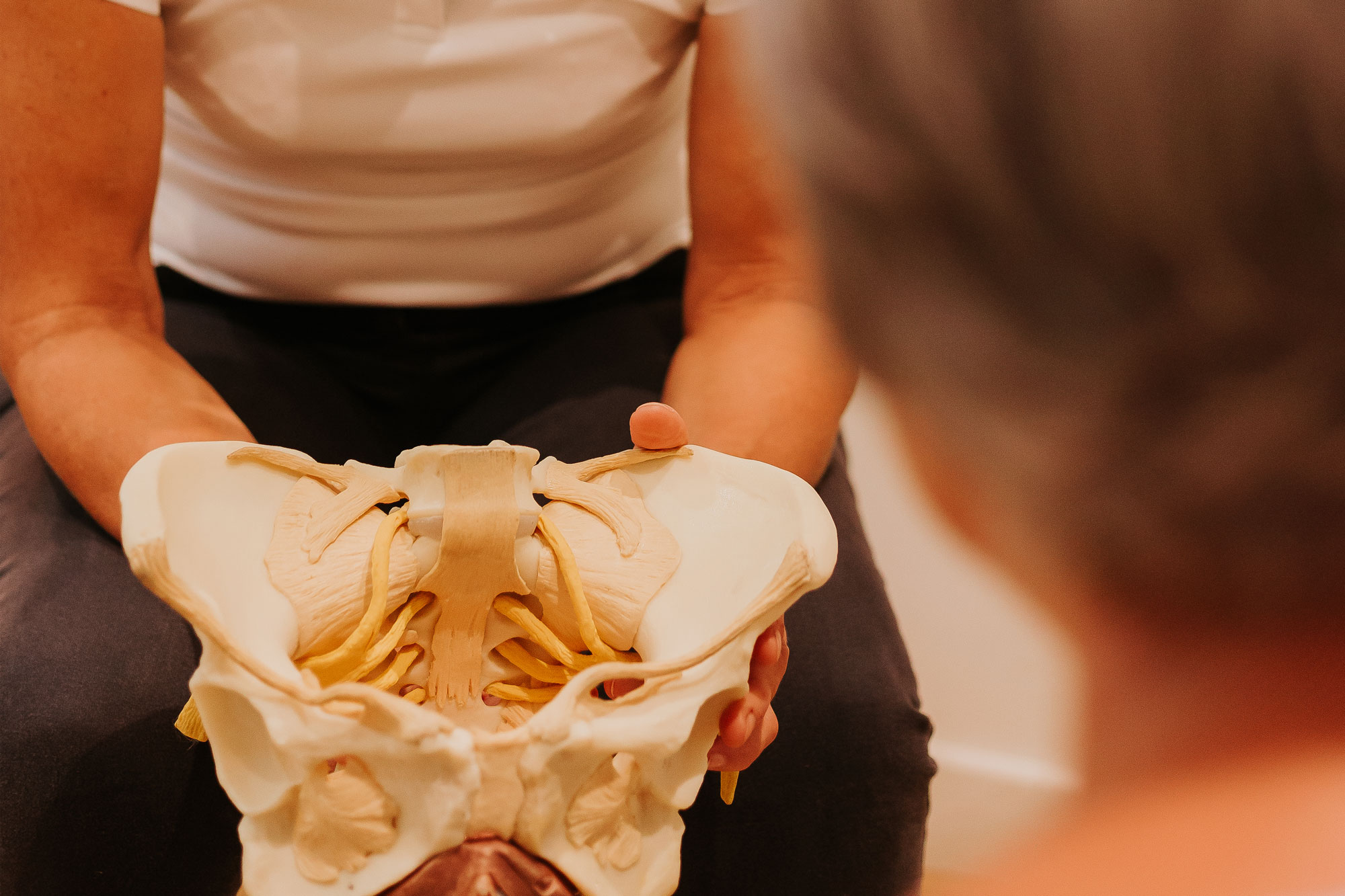 Physiotherapist using a model of a pelvis to explain a pelvic health issue to a patient, highlighting anatomy and treatment options